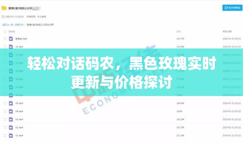 轻松对话码农,黑色玫瑰实时更新与价格探讨