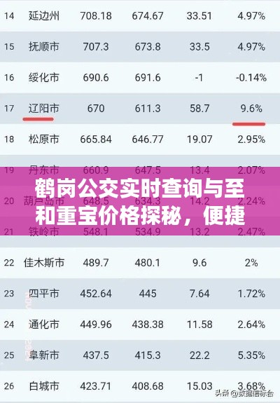 鹤岗公交实时查询与至和重宝价格探秘,便捷出行与理财新选择