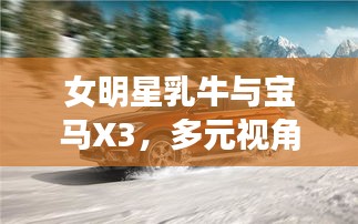 女明星乳牛与宝马X3,多元视角下的公众话题探讨