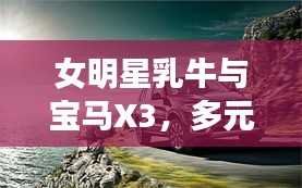 女明星乳牛与宝马X3，多元视角下的公众话题探讨