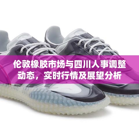 伦敦橡胶市场与四川人事调整动态,实时行情及展望分析