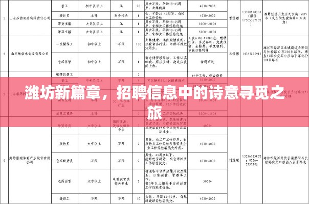 潍坊新篇章,招聘信息中的诗意寻觅之旅