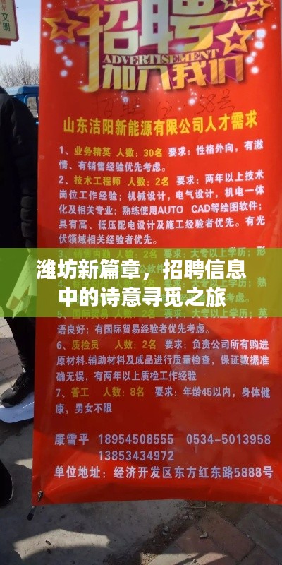 潍坊新篇章,招聘信息中的诗意寻觅之旅