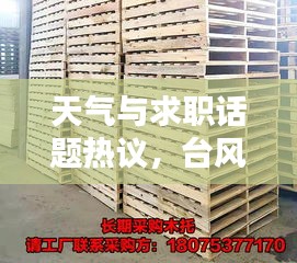 天气与求职话题热议，台风风神影响下的滁州招聘网新动态