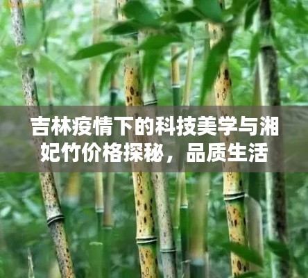 吉林疫情下的科技美学与湘妃竹价格探秘,品质生活的便捷选择