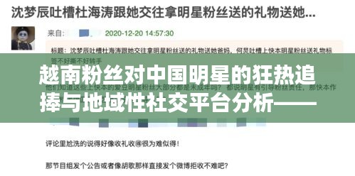 越南粉丝对中国明星的狂热追捧与地域性社交平台分析——以沈丘贴吧为例