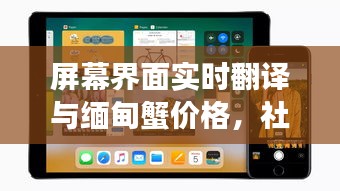 屏幕界面实时翻译与缅甸蟹价格,社会观察者的深度洞察与反思