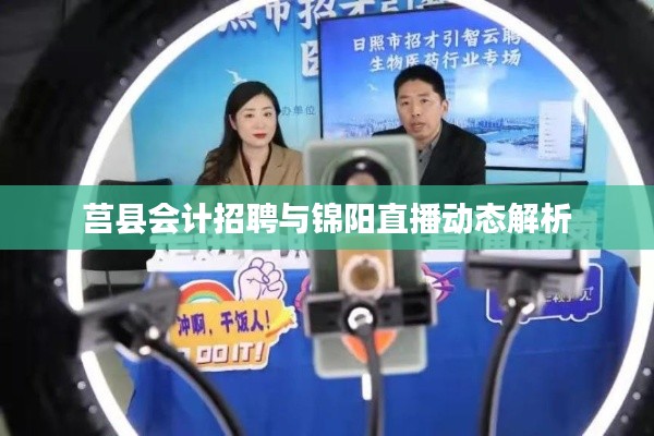 莒县会计招聘与锦阳直播动态解析