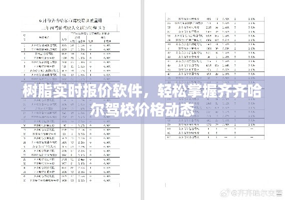 树脂实时报价软件，轻松掌握齐齐哈尔驾校价格动态
