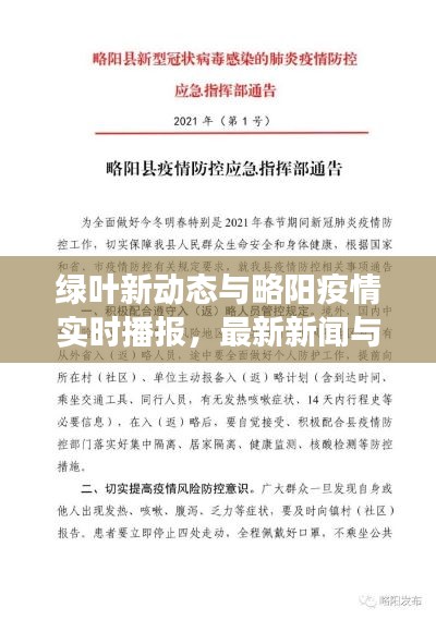 绿叶新动态与略阳疫情实时播报,最新新闻与市场反响聚焦