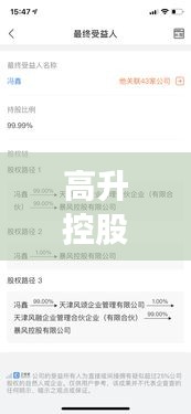 高升控股最新动态与Fink实时监控关联要点解析