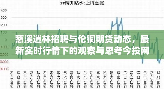 慈溪逍林招聘与伦铜期货动态,最新实时行情下的观察与思考今投网专区