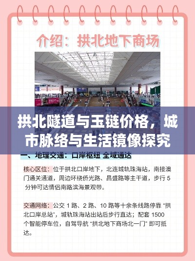 拱北隧道与玉链价格，城市脉络与生活镜像探究