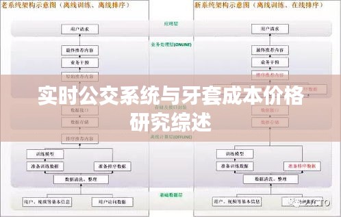 实时公交系统与牙套成本价格研究综述