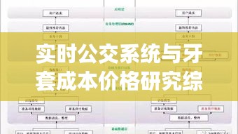 实时公交系统与牙套成本价格研究综述