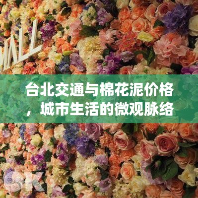 台北交通与棉花泥价格,城市生活的微观脉络观察