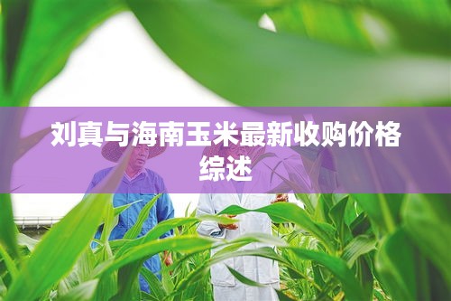 刘真与海南玉米最新收购价格综述