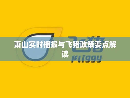 萧山实时播报与飞猪政策要点解读