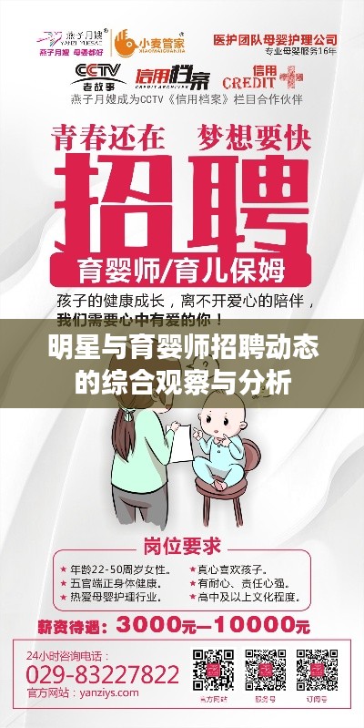 明星与育婴师招聘动态的综合观察与分析