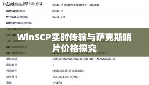 WinSCP实时传输与萨克斯哨片价格探究