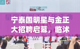 宁泰国明星与金正大招聘启幕,临沭县的明星人才与职业新机遇
