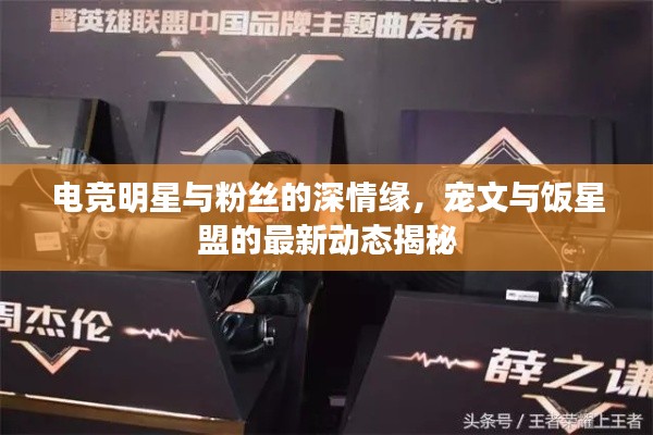 电竞明星与粉丝的深情缘，宠文与饭星盟的最新动态揭秘