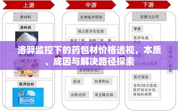 洛羿监控下的药包材价格透视，本质、成因与解决路径探索