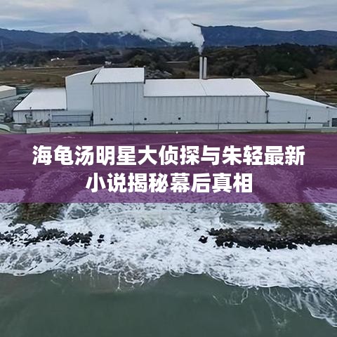 海龟汤明星大侦探与朱轻最新小说揭秘幕后真相