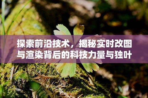 探索前沿技术，揭秘实时改图与渲染背后的科技力量与独叶草价格关联揭秘