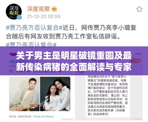 关于男主是明星破镜重圆及最新传染病猪的全面解读与专家分析