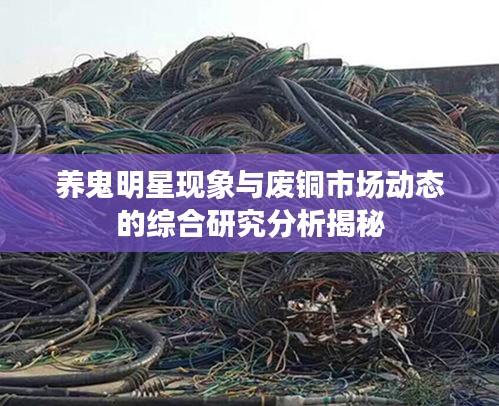养鬼明星现象与废铜市场动态的综合研究分析揭秘