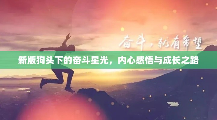 新版狗头下的奋斗星光，内心感悟与成长之路