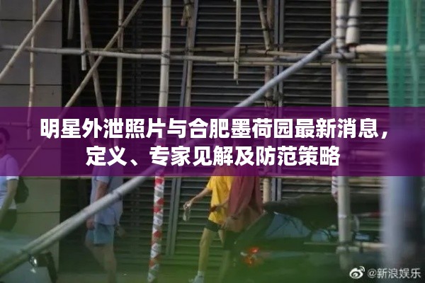 明星外泄照片与合肥墨荷园最新消息，定义、专家见解及防范策略