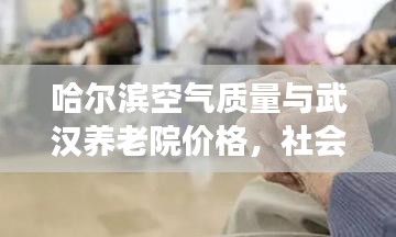 哈尔滨空气质量与武汉养老院价格，社会观察者的深度观察与剖析