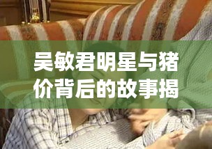 吴敏君明星与猪价背后的故事揭秘