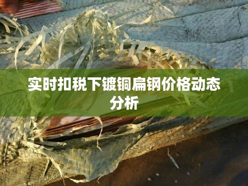 实时扣税下镀铜扁钢价格动态分析