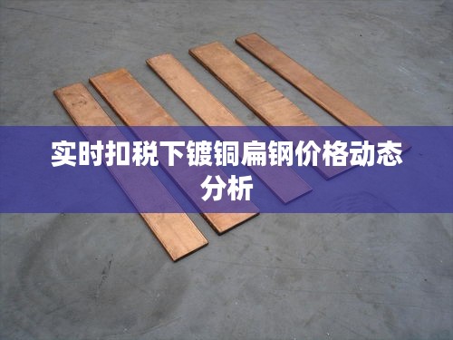 实时扣税下镀铜扁钢价格动态分析