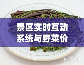 景区实时互动系统与野菜价格，旅游美食双重探索新体验