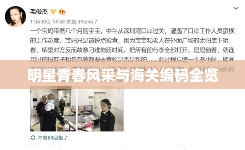 明星青春风采与海关编码全览