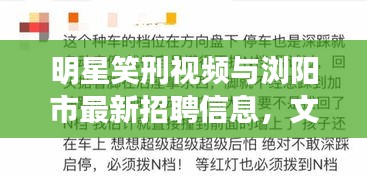 明星笑刑视频与浏阳市最新招聘信息，文化与职业的碰撞与交融