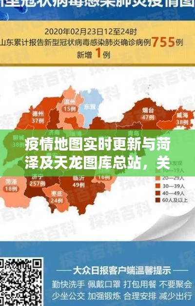 疫情地图实时更新与菏泽及天龙图库总站，关系阐释与协同落实建议
