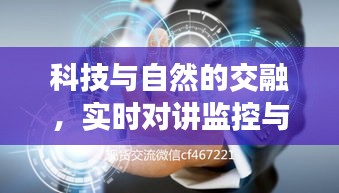 科技与自然的交融，实时对讲监控与紫奇楠市场的深度探讨
