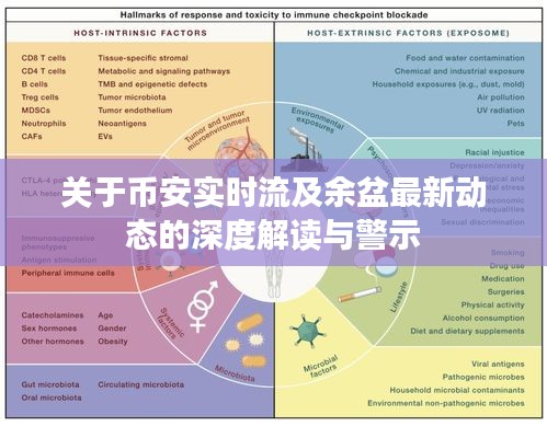 关于币安实时流及余盆最新动态的深度解读与警示