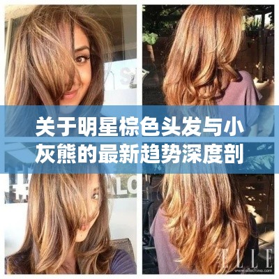 关于明星棕色头发与小灰熊的最新趋势深度剖析