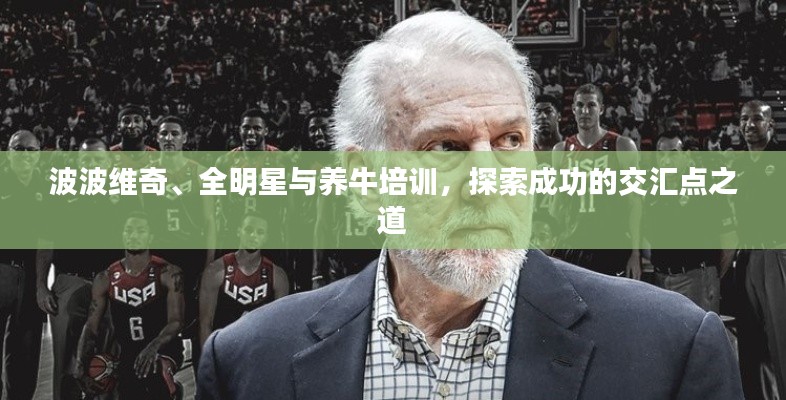 波波维奇、全明星与养牛培训，探索成功的交汇点之道