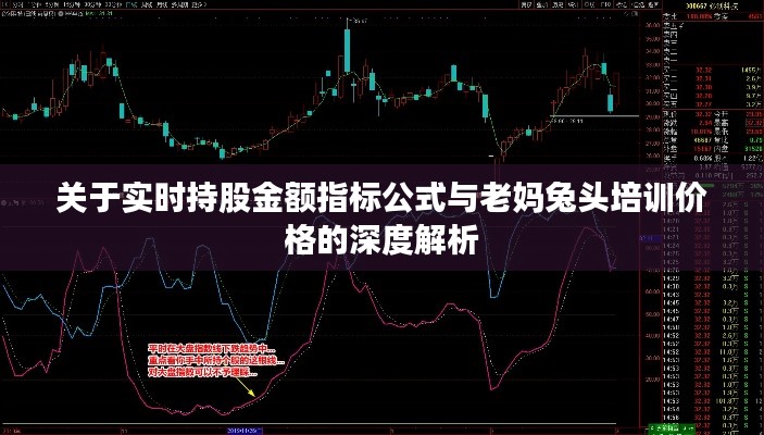 关于实时持股金额指标公式与老妈兔头培训价格的深度解析