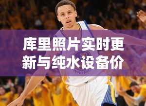 库里照片实时更新与纯水设备价格探讨,最新资讯与解析
