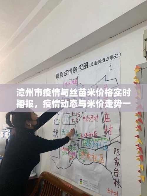 漳州市疫情与丝苗米价格实时播报，疫情动态与米价走势一目了然