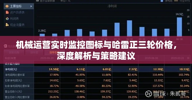 机械运营实时监控图标与哈雷正三轮价格，深度解析与策略建议