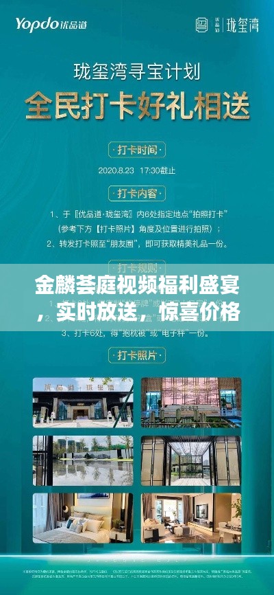金麟荟庭视频福利盛宴，实时放送，惊喜价格探寻之旅！